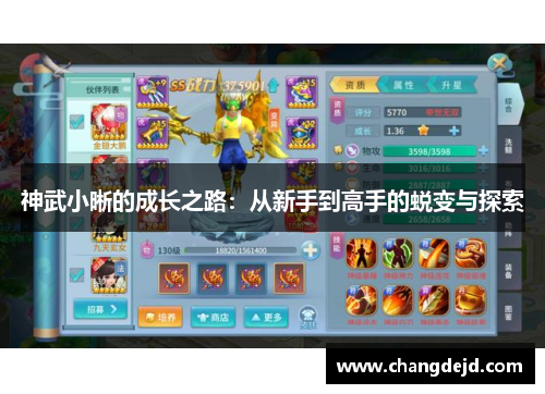 神武小晰的成长之路：从新手到高手的蜕变与探索